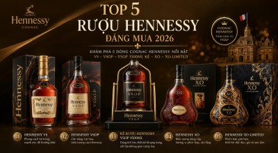 Top 5 rượu Hennessy nổi bật năm 2026: VS, VSOP, VSOP 1500ml, XO và XO Limited
