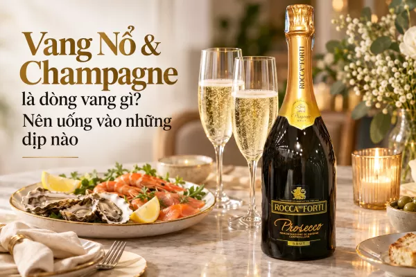 Vang Nổ & Champagne là dòng vang gì? Nên uống vào những dịp nào